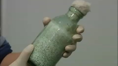 05_食用菌固体菌种制作技术【全套】