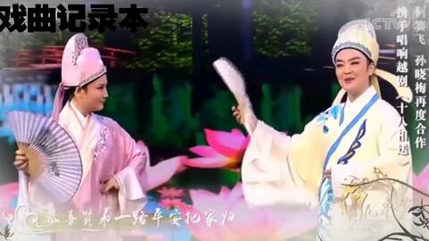 白字戏梁祝十八相送,白字戏梁祝十八相送第三场