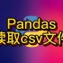 Python pandas 读取csv/txt数据文件 csv文件数据批处理