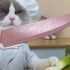 【喵大厨Puff】精致的食物摆盘小技巧#喵大厨puff #会做菜的猫