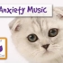 【第二期】播放这个音乐来舒缓你的猫，对焦虑引起的或是只是作为治疗小喵来说都是完美的 - 放松我的猫