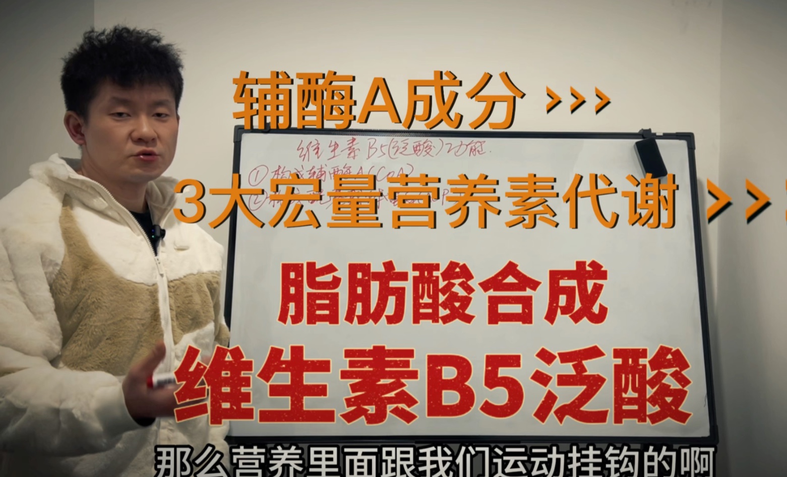 干到想喝水 看到想睡觉 能量代谢枢纽 脂肪酸合成 维生素B5泛酸 都知道肥肉怎么分解 那肥肉怎么长出来的