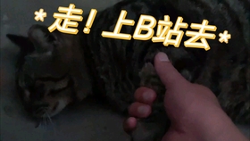 b1b4208a92773d1fc381a70338c0dd07bbcc5594.jpg@280w_158h_1c_100q.jpg