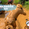 盘点人类幼崽倒霉瞬间