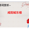 中考诗歌鉴赏之九上8《咸阳城东楼