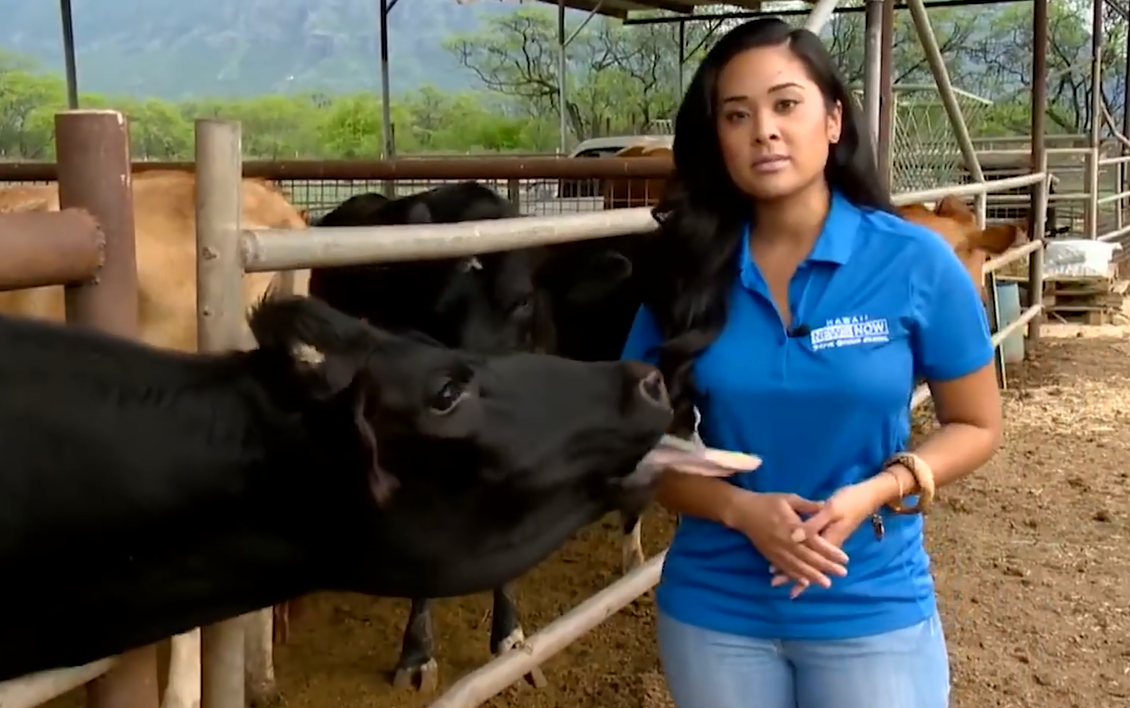 新闻直播尴尬出事故爆笑合集i 2017.mp4 - clipconver