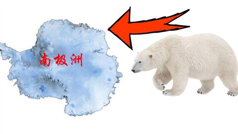 熊怎么解决寄生虫的 b1e5af63b40378c7434decfa8f6ba010568b63a5.jpg@480w_270h_1c