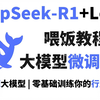 【喂饭教程】30分钟学会DeepSeek R1模型Lora微调训练，适合借鉴学习，保姆级教程，全程干货无废话，草履虫都能学