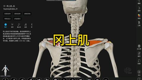 b1fb571a863f9093db56cc3e814195f489dbd3cf.jpg@480w_270h_1c