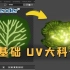 【Blender】UV大科普！从0开始学习拆UV、 画贴图 ! 中文字幕