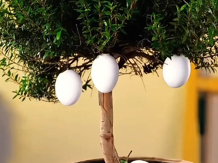 实用种植小技巧，快学起来！