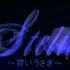 【酒井法子】1995 Stella 碧いうさぎ 东京演唱会