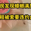 女孩租房第一天发现蟑螂满屋，想退租却被索要巨额违约金