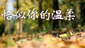 b25830ccedf8cb53b1e83889e6572daf2168718b.jpg@280w_158h_1c_100q.jpg