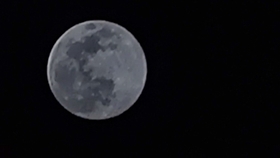 b269a3236c9d77e5825a262d7b1c4b0b2d44f9cf.jpg@280w_158h_1c_100q.jpg