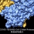 COVID-19蛋白酶表面结构展示 COVID-19/SARS-CoV-2 Main Protease (Surface