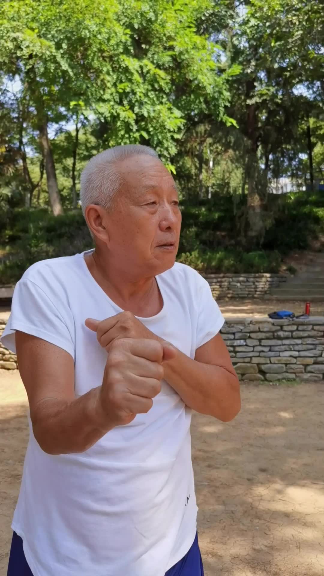 心意六合拳名家张宁卫老师讲解演示十大形之猴形和燕形，值得一看！