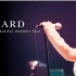 ZARD LIVE 2004 