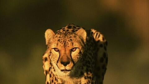 b2a60079e3860ac96d6fbfcd5557247de17ca565.jpg@480w_270h_1c