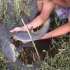 【油管搬运】柬埔寨潇洒哥自制小鱼竿坐等鱼儿上钩