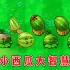 植物大战僵尸：不同版本中的西瓜投手，有什么区别？