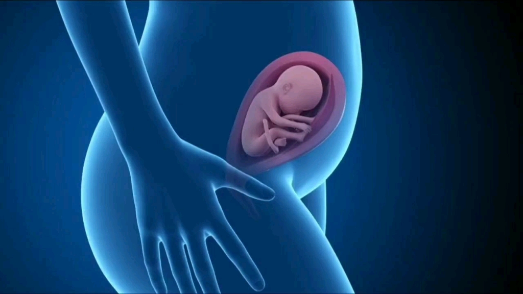 妈妈在睡觉时，胎儿在妈妈肚子里都在干什么呢？