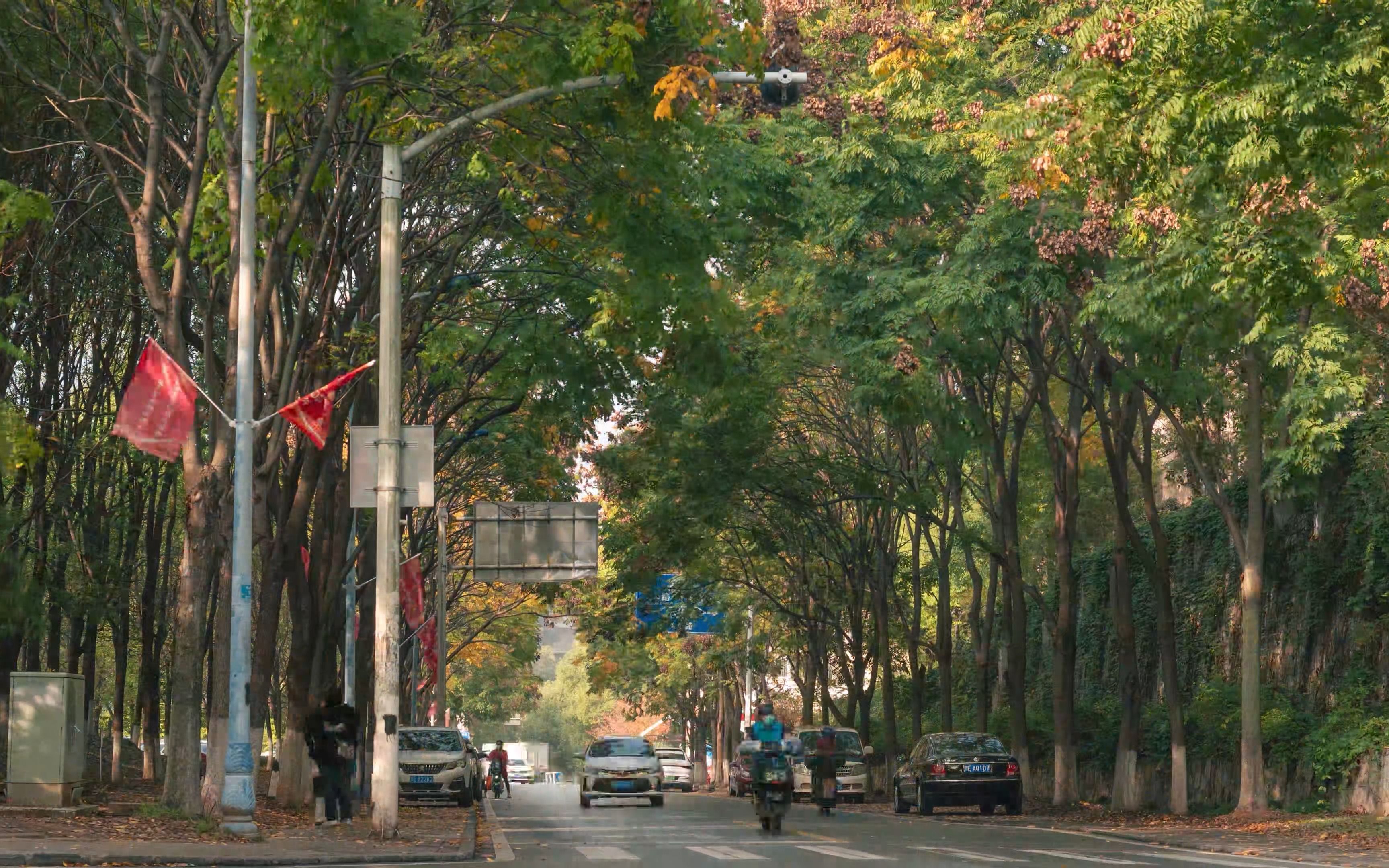 三峡大学延时(下)【4K】（即将完结）