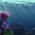 【白噪音】海底的珊瑚摇曳 阳光透过海面 沉浸式白噪音 深海氛围｜海底的声音 水中的声音