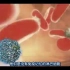 NK细胞的免疫功能