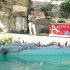 泰国动物园欢乐互动