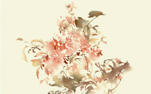 白石溪】在线收听