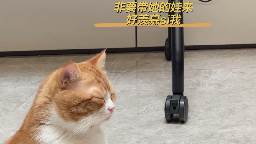 当朋友说我养猫不生娃，带她的娃来我家后……
