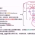 物质能量代谢精讲 Advanced version_Biochemistry 05