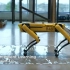 听波士顿动力Spot工程师聊足式机器人的强化学习