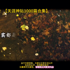 【天涯秘贴B】更新啦，赶紧来围观吧