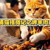 橘猫一大早买了羊肉，串了串夜市卖烧烤，回来不忘给小橘猫带玩具，小橘猫太开心了