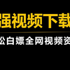 最强下载器，可批量下载全网视频资源
