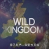 BBC《野性英伦 Wild Kingdom 2014》全4集 多版本中字 720P高清纪录片