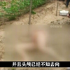 荒地里惊现无头女尸，变态恶魔终究难逃法网