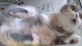 b3c11e8b03298c592ac96ef649ad0c90e6701e51.jpg@280w_158h_1c_100q.jpg