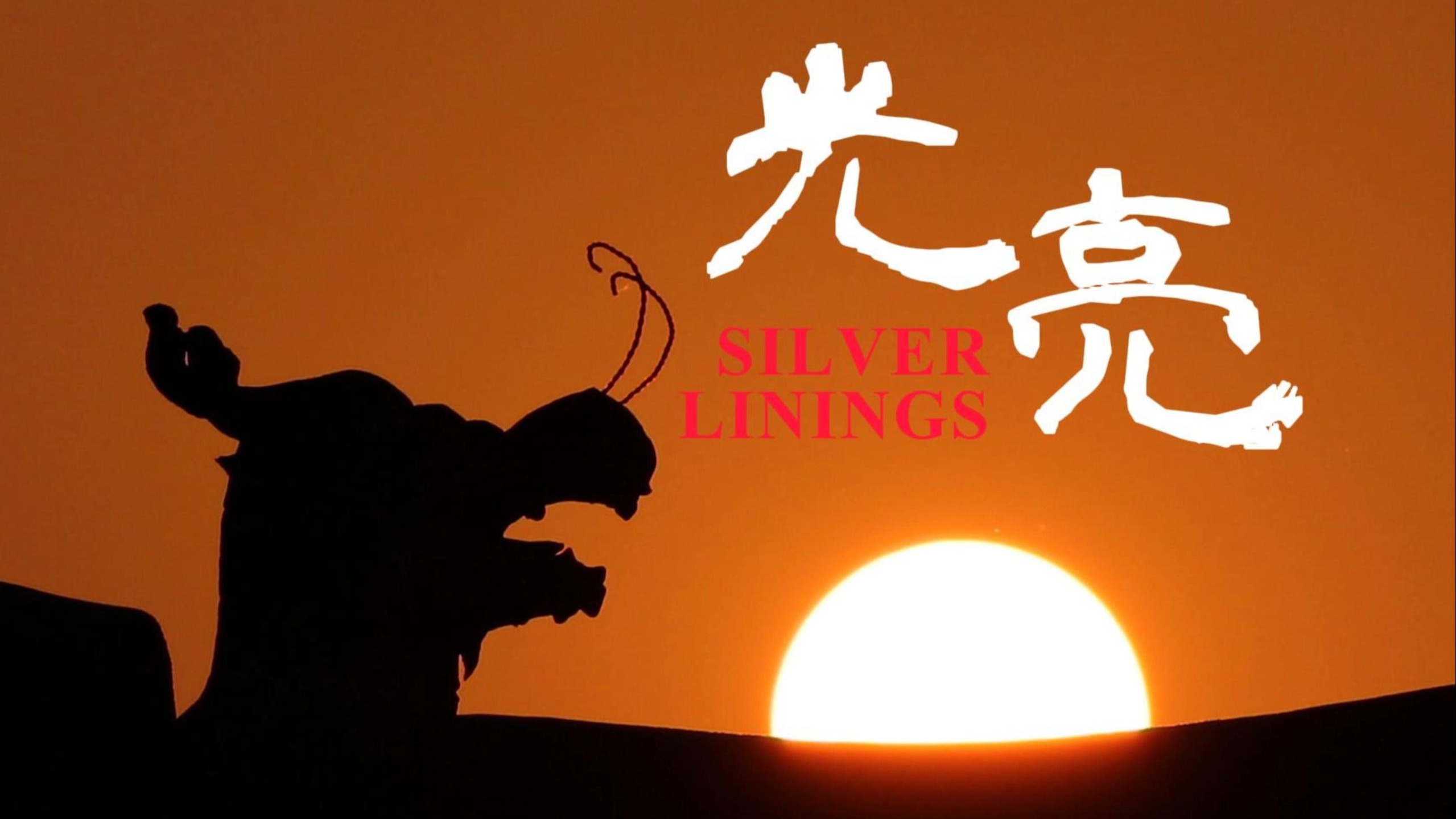 |光亮|伴奏背景视频🎹无损伴奏+动态歌词