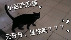 b3e308b49da2351f4cedf83a77c0e2b9f5f845c1.jpg@280w_158h_1c_100q.jpg