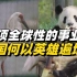 【中国说】走进生物多样性保护第一线：保护濒危动物，中国遍地英雄！
