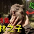 【全结局】《森林之子》史上最恐怖的生存游戏《森林》续作全收集！
