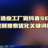 制造业工厂做抖音SEO短视频搜索优化关键词排名-公域和私域