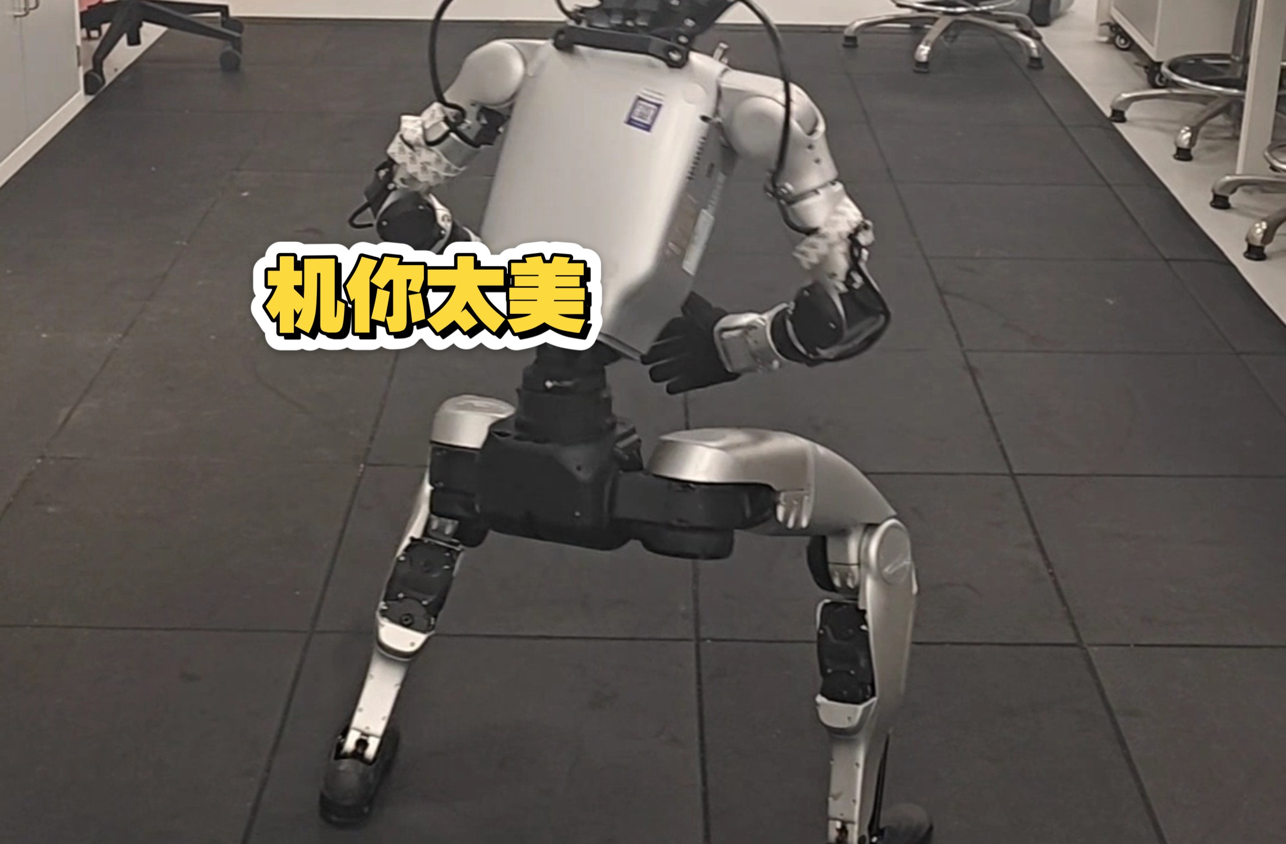 机 你 太 美 mjlab