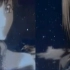 【Lelouch&Suzaku】楔