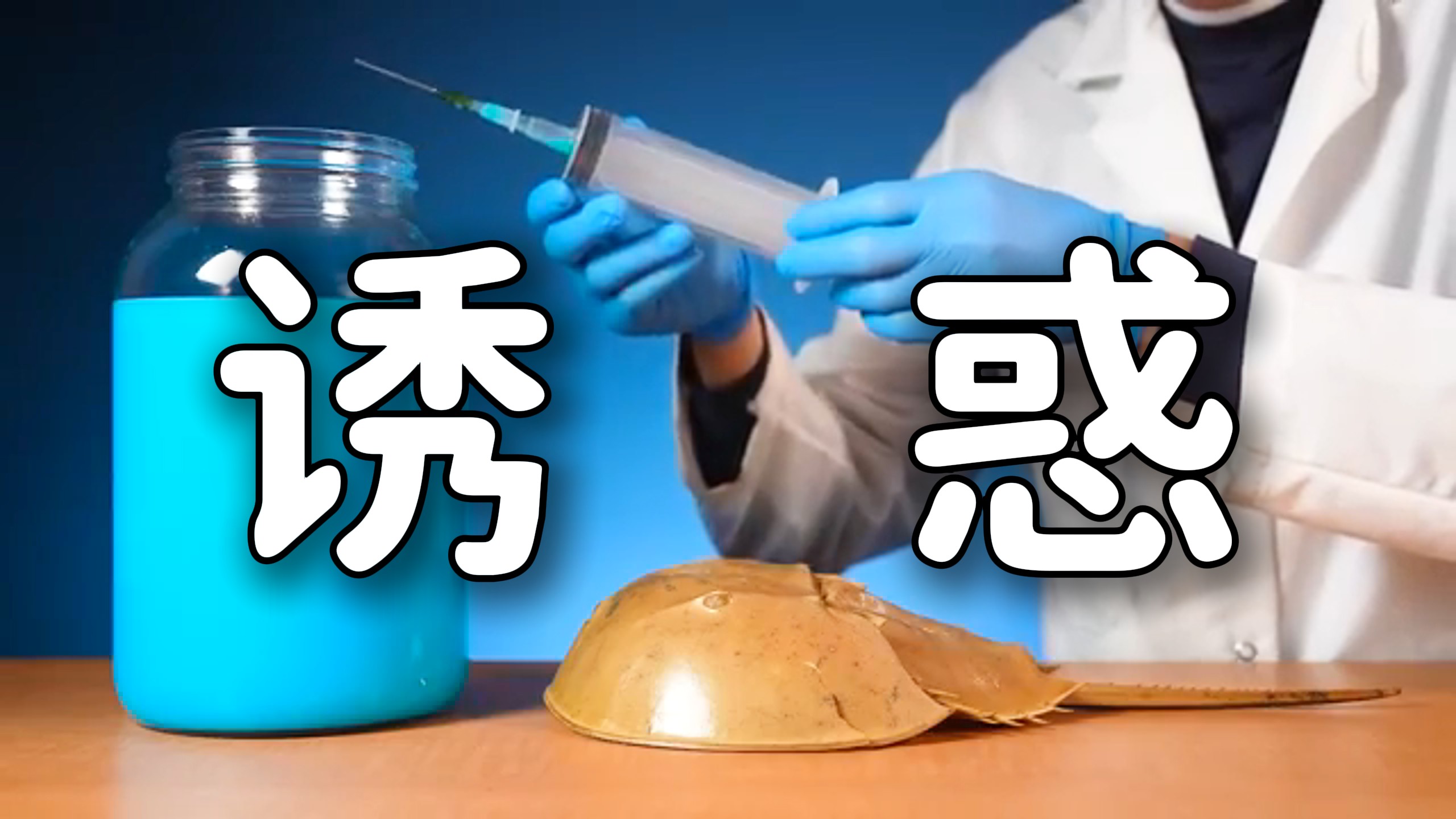 “ 拒绝繁殖的蓝血守护者 ”