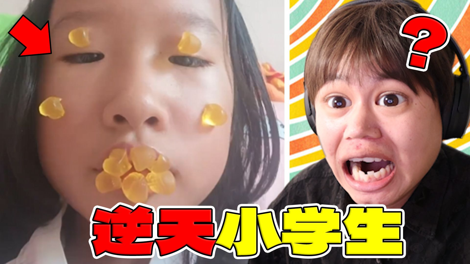 机智的呆狗