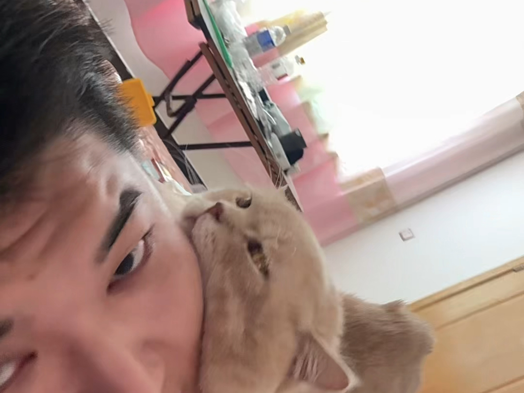我真不行了，快被烦死了